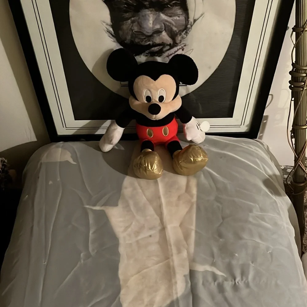 Mickey Mouse bundle stuff plushy $100 for bundle $25 a piece. - Picture 3 of 5